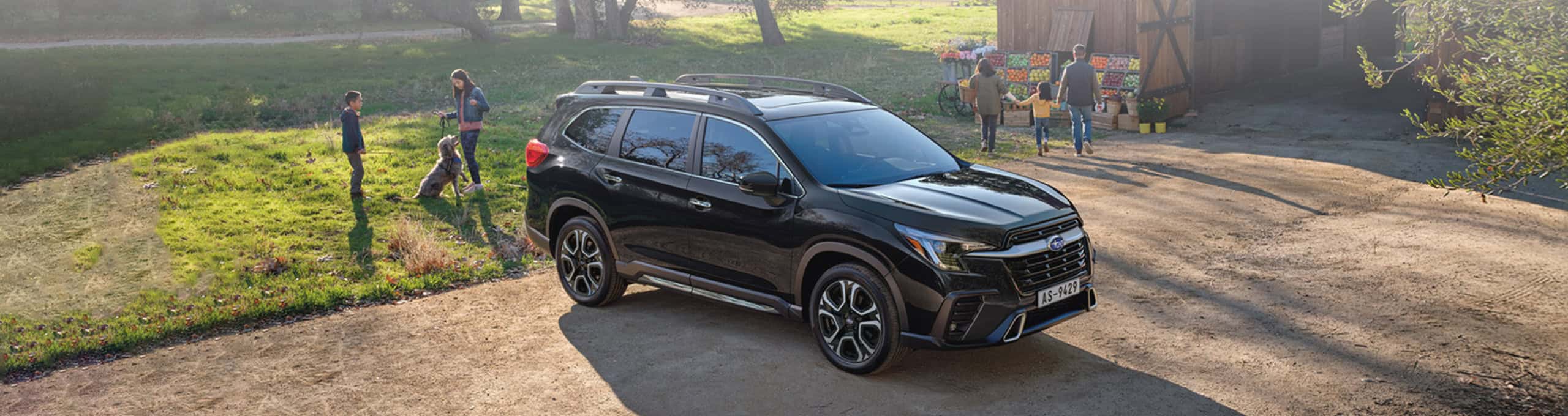 True 7-Seater Luxury