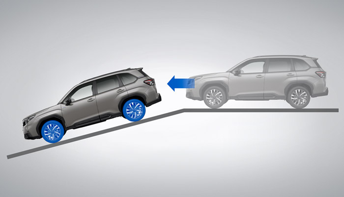 Hill Descent Control