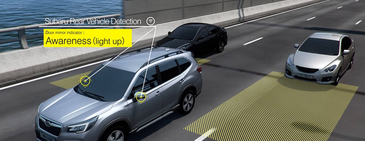 Hỗ trợ thị giác